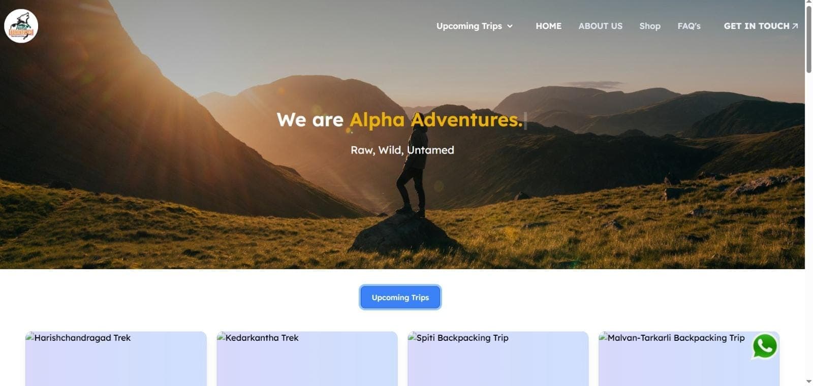 Alpha Adventures website before the redesign